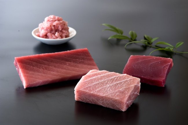 protein içeren yiyecek ton balığı