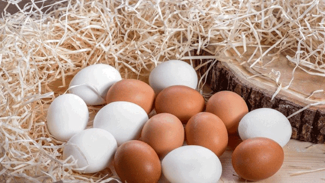 protein içeren yiyecek yumurta