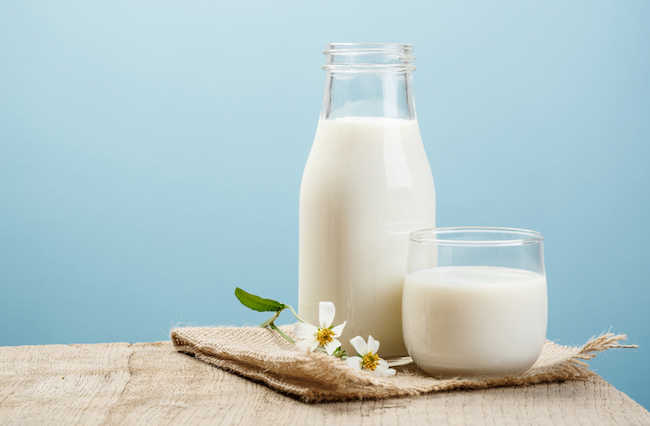 protein kaynağı besin süt