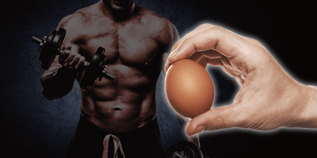 protein tozu mu yumurta mı